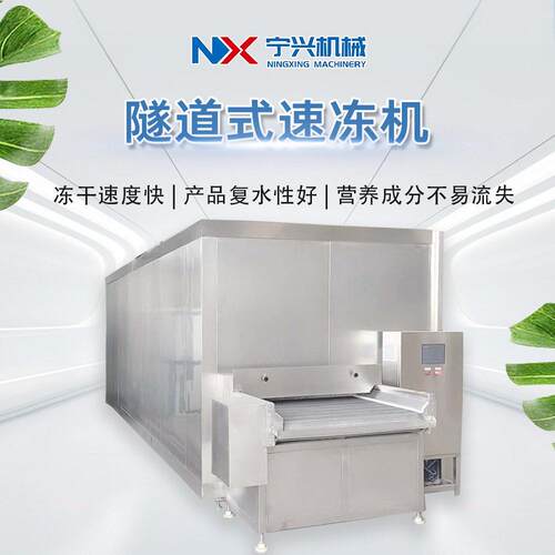 商用隧道式速冻机 蔬菜水果海鲜产品的冷冻 肉类的冷冻设备