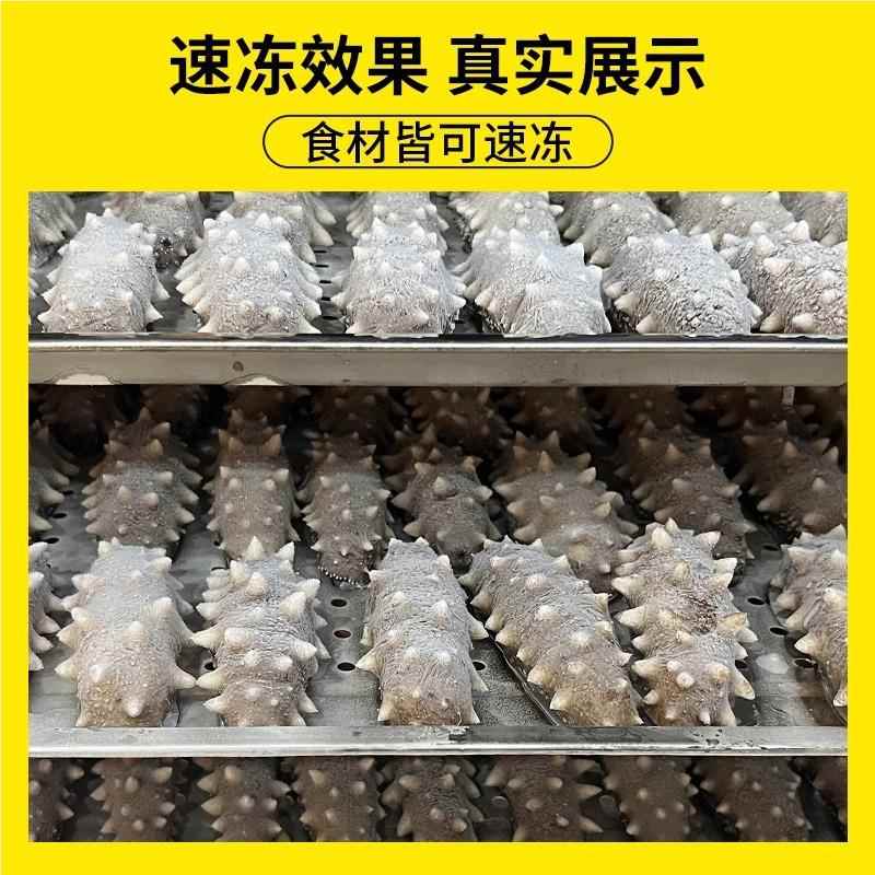 定制用速冻机低34867温速冷柜海参饺子急冻急柜子零下45包度商速