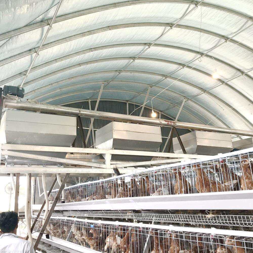 安徽厂家自动养鸡场喂料机上料机料仓料塔喂料车轨道龙门给料