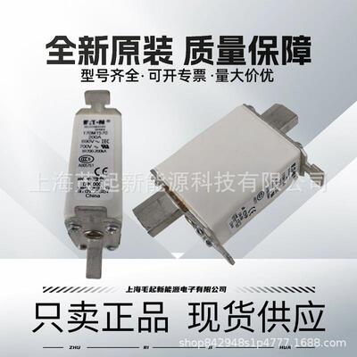 170M1320 170M1411 170M1570 170M1565 170M1321 170M1322 熔断器