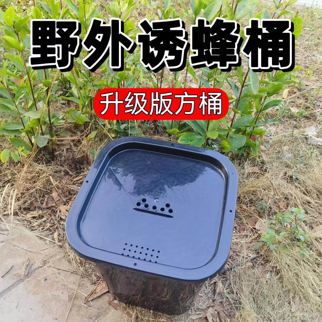 中蜂诱蜂桶土蜂养蜂桶黑色塑料桶引蜂蜜蜂桶中锋方形诱蜂桶带盖子,橡塑材料及制品,塑料桶/塑料瓶/塑料罐,淘宝优惠券,粉丝福利购,淘宝优惠卷