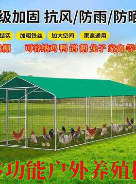 鸡棚棚鸡笼子户外家禽挡养殖笼遮雨棚骨架风防建雨PQE简易搭鸽笼