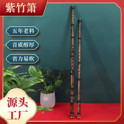萧乐器专业初学入门素紫竹洞箫笛F正反手八孔G调一节古风长箫包邮