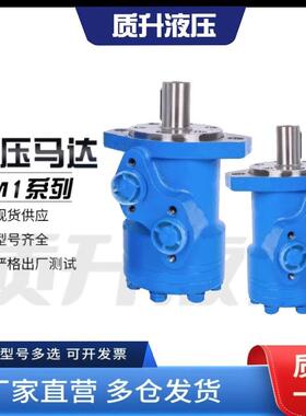 BM1液压马达50/80/100/125/160/200/250/315/400/500摆线液压马达