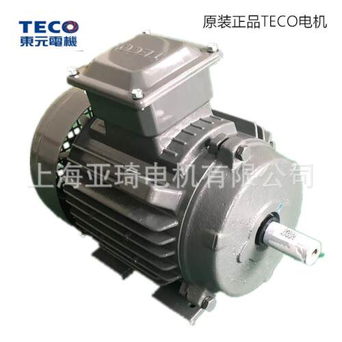AEEVVS0.75KW1HP无锡东元电机TECO电机V系列标准顶出线