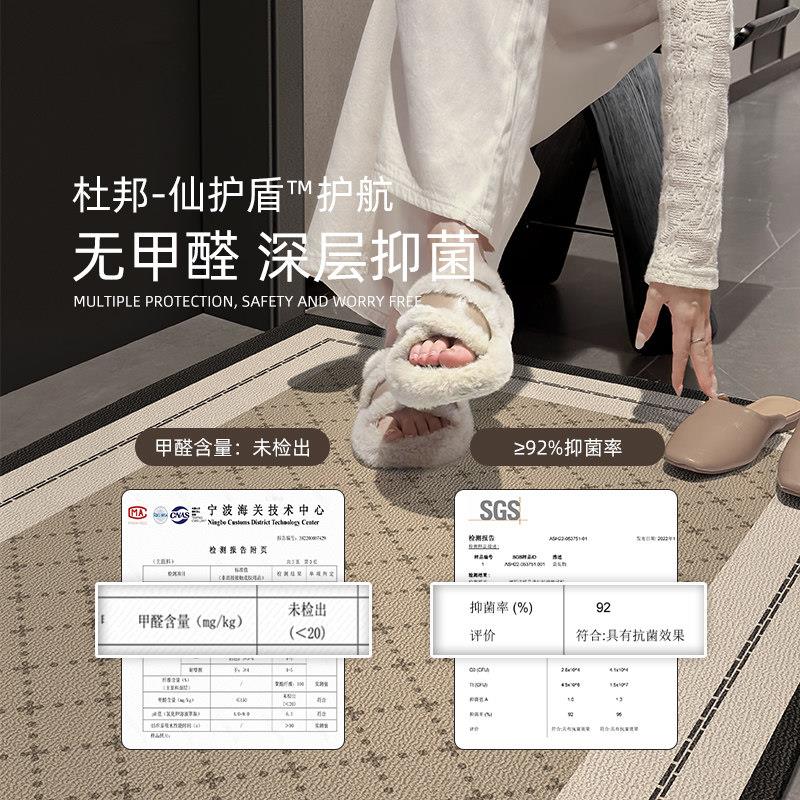入户门地垫进门地毯客厅门口垫子家用门垫轻奢高级玄关脚垫可裁剪