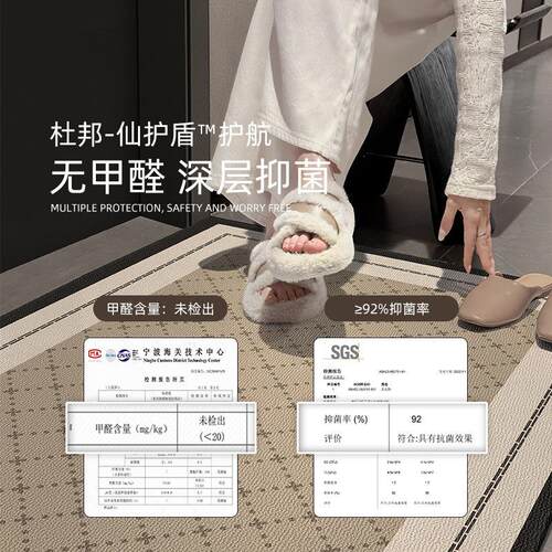 入户门地垫进门地毯客厅门口垫子家用门垫轻奢高级玄关脚垫可裁剪