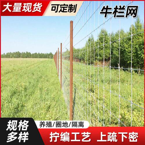 定制铁丝网防锈围栏网热镀锌铁丝网果园防护网圈山网养殖网厂家