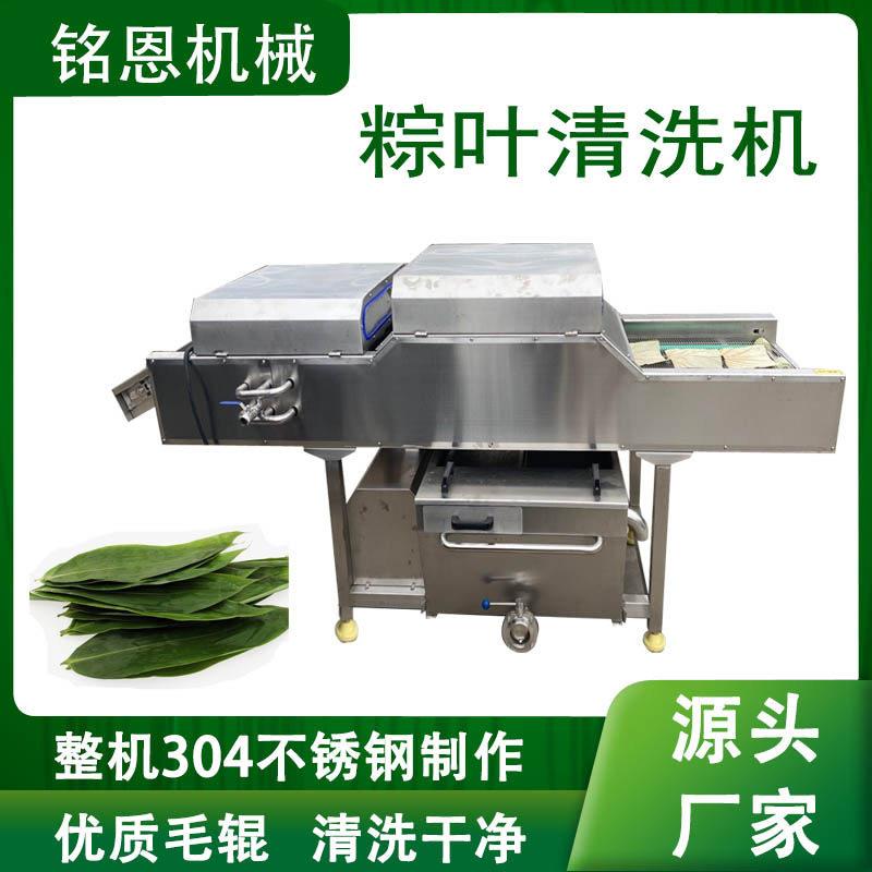 叶类粽叶荷叶芦苇叶压清洗机连续式毛辊清洗机洗粽叶设备定制