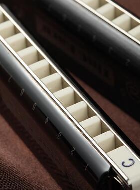 孔声10孔布鲁斯口琴KS-10BH蓝调布鲁斯四色可选磷青铜音簧演奏琴