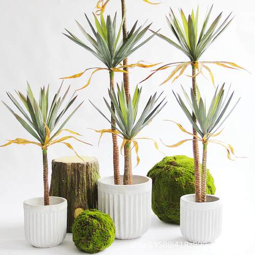 仿真凤尾丝兰树植物热带沙漠假绿植大型落地盆景橱窗室内装饰摆件