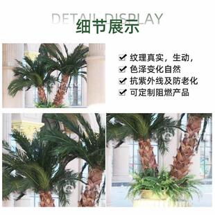 棕榈树室内公园工程造景仿真热带植物绿植商场装 饰真 饰树装
