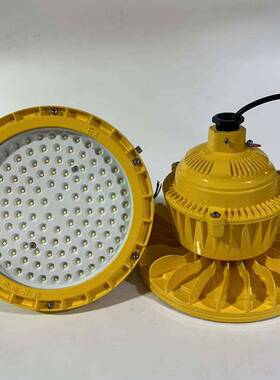 100WLED防爆灯IIC圆形隔爆