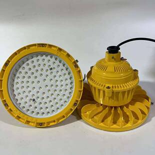 100WLED防爆灯IIC圆形隔爆