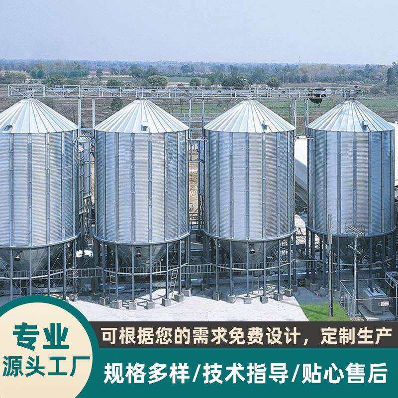 大型室外立式料仓 不锈钢塑料颗粒工业存料箱 钢板集中储料罐供应
