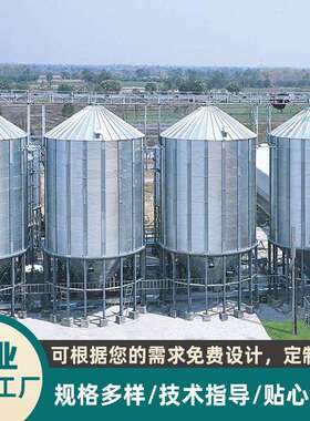 大型室外立式料仓 不锈钢塑料颗粒工业存料箱 钢板集中储料罐供应