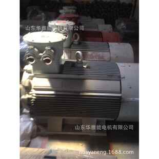 YZPE180M 22电机CT5防爆等级YZP电机非批量长期订货原则不接产