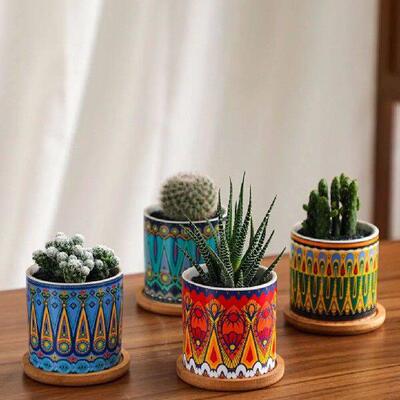 Beautiful Ceramic Plant Pot For Both Indoor And Outdoor