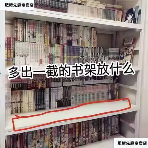 双层书架挡板多层阅读架立架桌面收纳书本口袋书书立架书挡整理分隔板书立架课桌置物架立式学生教室防倒书支
