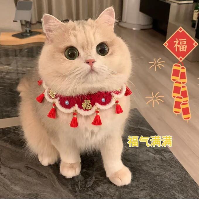猫咪项圈新年装扮围脖猫猫脖子狗狗脖饰口水巾装饰品宠物脖圈配饰