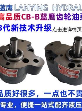 CB-B10锯床齿轮泵CB-B6/B4/B2.5/B16/B20/B25/B32车床R液压油泵F