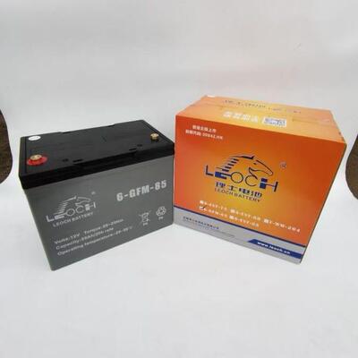 理士动力电池 6-EVF-70/85 12V70AH 12V75AH 叉车电池 代步车蓄电