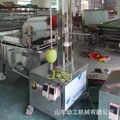 源头厂家瓜果蔬菜削皮设备 工业电动西红柿去皮机 木瓜去皮机