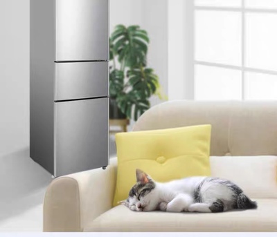 容声BCD-218D11N冰箱怎么样？为何便宜？问题多吗？