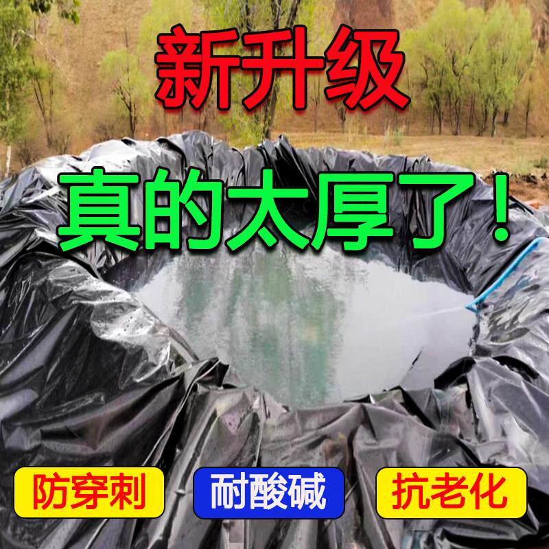 鱼塘防渗膜鱼池专用防水布土工膜水池防水膜塑料布黑膜进口加厚