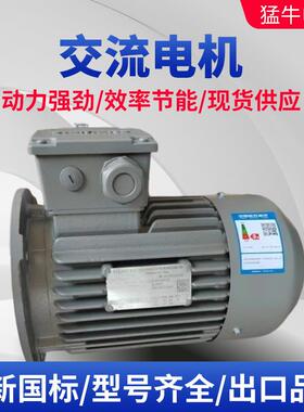 厂家供应160M-215电动机马达YDYDT三相异步电机机械设备电动机