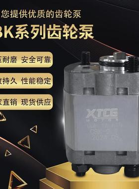 CBK齿轮泵微型高压油泵/CBK-F1116/2.1/3WEK.2/4.2.*4.8.升降机油