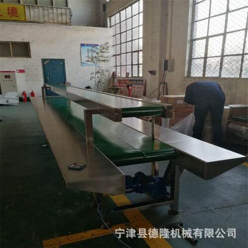 物流输流水线鸡粉味精提皮带输送机装包输dl-100送升线可安运装