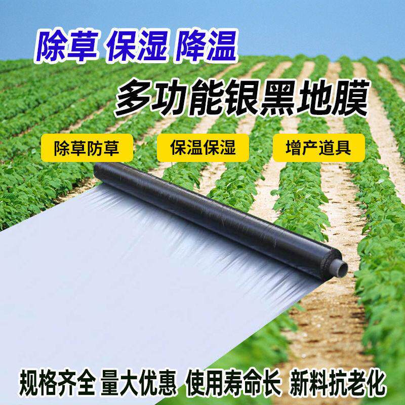 农用加厚银黑双色反光地膜果树玉米瓜果辣椒除草膜除蚜虫银光膜