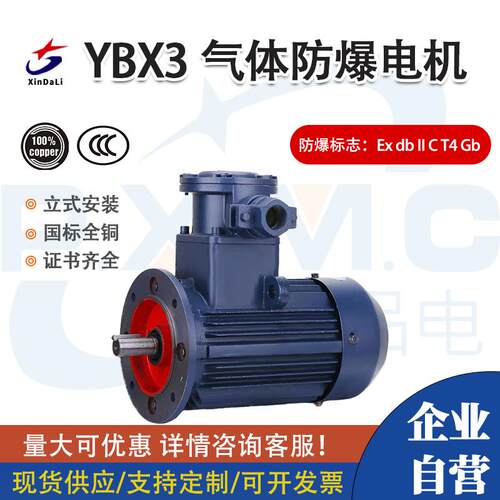 新大力YBX3防爆电机气体隔爆型CT4立式B5法兰安装铜国标马达380V