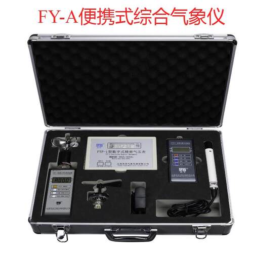手持式气象站，环境检测用FYF-II气象五参数仪，便携式综合气象仪