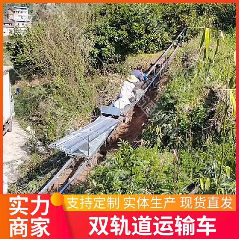 农Rt-199业双轨运山输车运小型山车地果园电动地爬坡搬运载货双轨