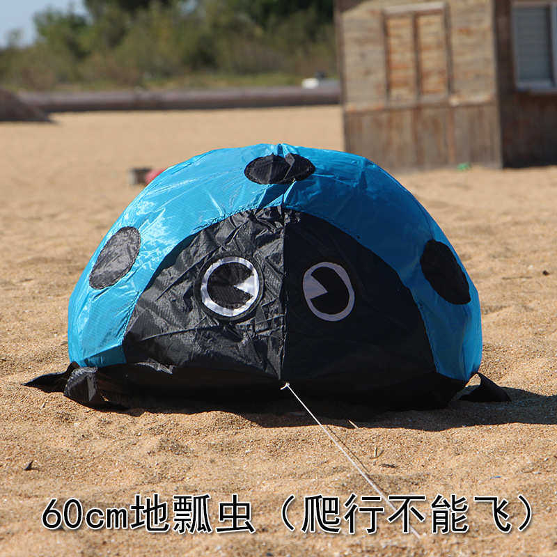 潍坊外贸风筝个性软体新款瓢虫多色挂件贴地沙滩好玩厂家批发,运动/瑜伽/健身/球迷用品,风筝,淘宝优惠券,粉丝福利购,淘宝优惠卷