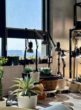 物植VID物补光灯e全谱ld光仿太阳光室内植生长灯绿植花卉可折叠落