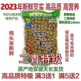 芡实鸡头果2023天长龙岗特产新鲜带壳鸡头米，二青特级500g