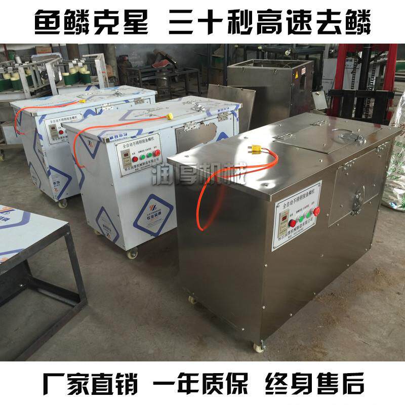 供应鱼类加工设备全自动脱鱼鳞机商用去鱼鳞机电动刮鳞机打鳞机