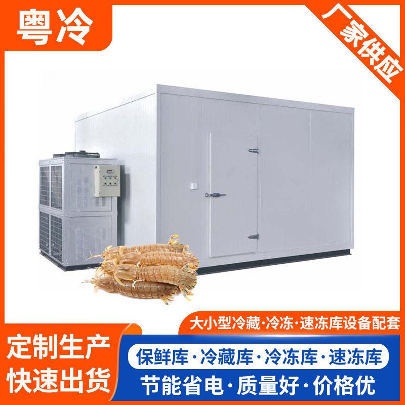 东莞小型冷库厂家冻品鸡翅鸡爪储存冷冻库全套设备肉类速冻冷库