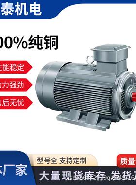 YE3-132S-6极3.0W960转厂家现货380V三相异步电机