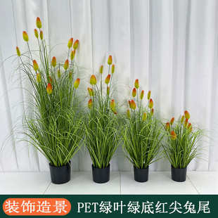 批发室内外装饰泡沫花草带盆康兰菊仿真花兔尾草仿真枯草盆栽摆件