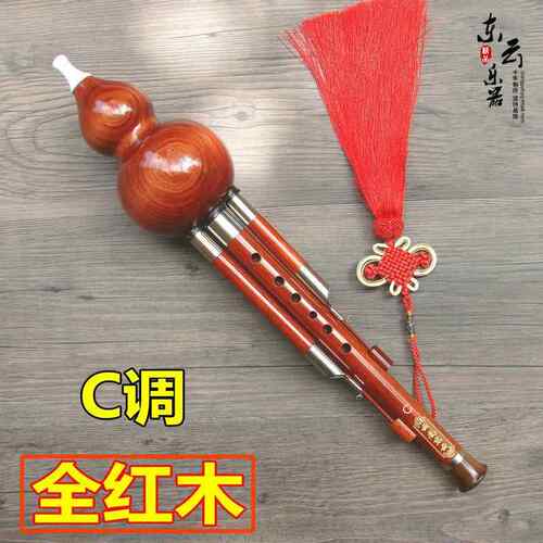 高档东葫芦丝器全红木黑檀木初学演奏降B调调乐葫芦云C丝