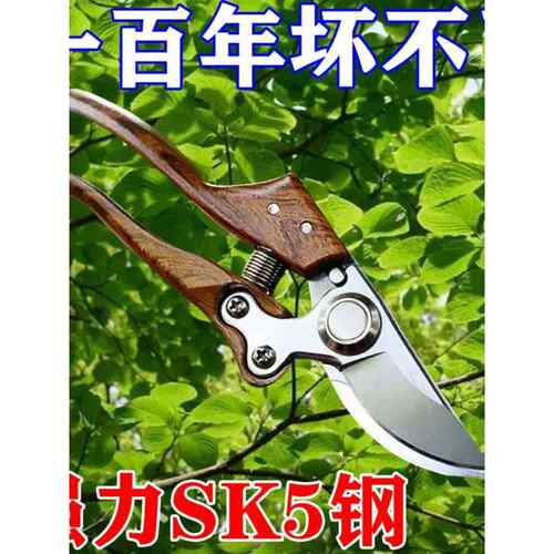 果树修枝剪刀园艺省力修剪花树枝剪修枝剪木纹柄