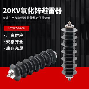 20kV户外氧化锌避雷器HY5WZ-26/66高性能24kv高压电站型防雷HY5WS