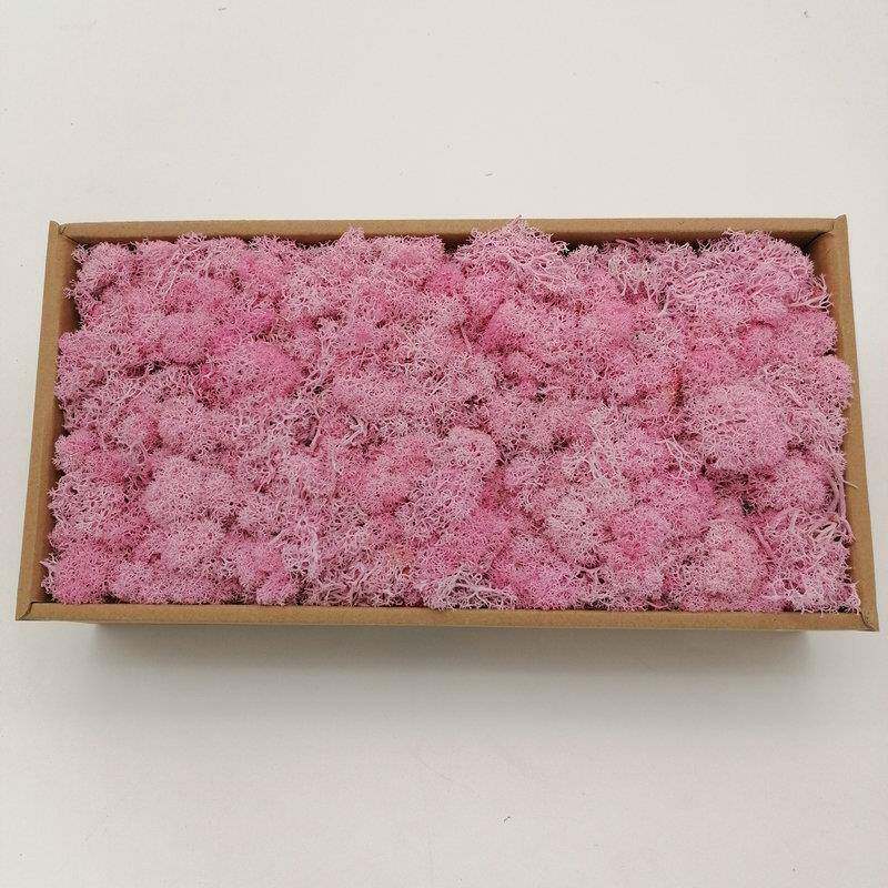 永生花花材新苔藓色卡礼盒制作材料保鲜花永生苔藓墙体景观装饰