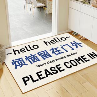 丝圈入户门地垫门口进门脚踏垫家用进户门垫耐磨耐脏可擦免洗地垫