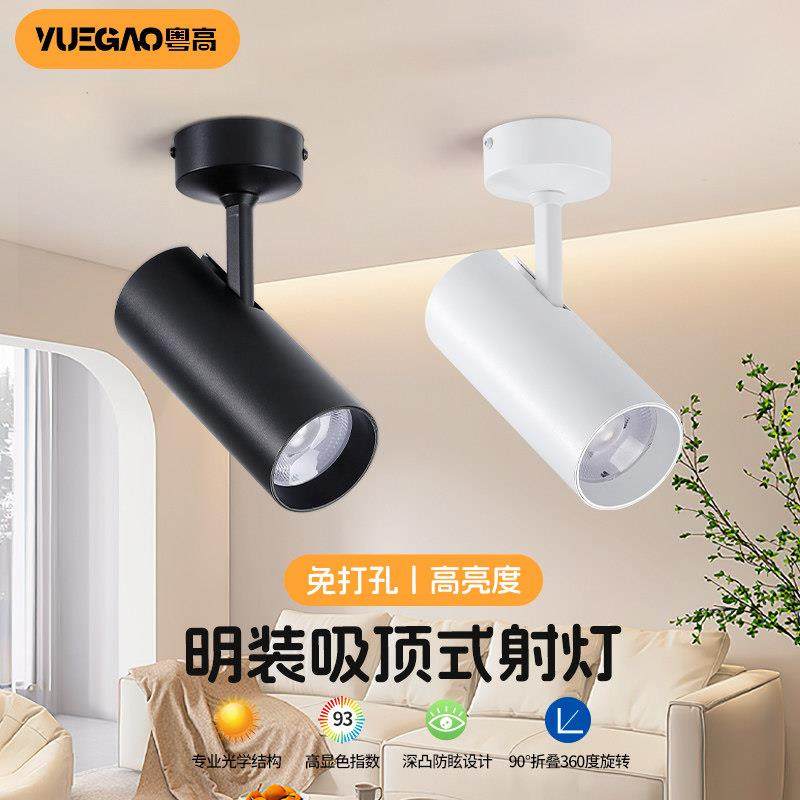 led明装射灯店铺商用服装店cob吸顶式饭厅餐饮单个可调角度免打孔,家装灯饰光源,明装射灯,淘宝优惠券,粉丝福利购,淘宝优惠卷