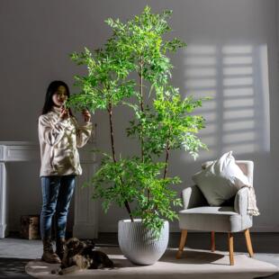 饰室内客厅摆件彷生植物商场假树造 大型南天竹彷真绿色植物盆栽装